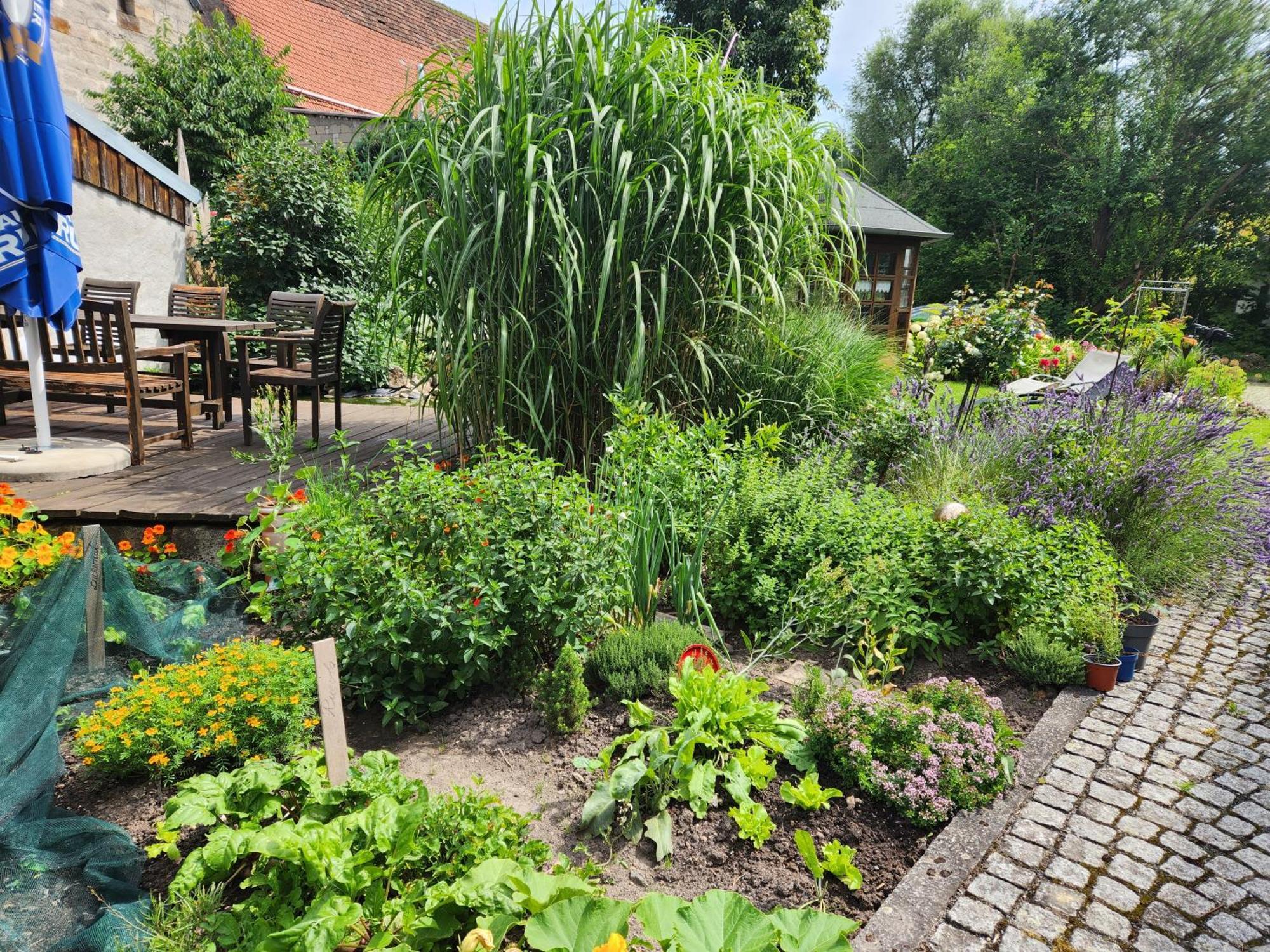 Familienfreundlich Im Naturpark Hassberge Mit Gehobener Gastronomie Kirchlauter Exterior photo
